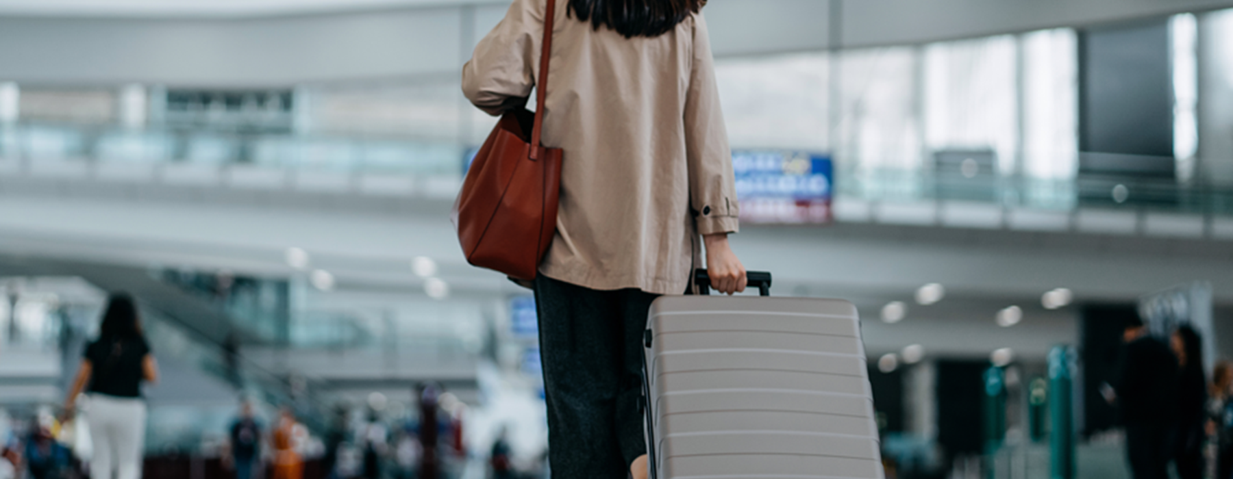 2024 SITA Baggage IT Insights